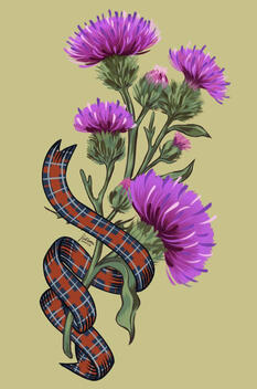 Scottish Thistle
